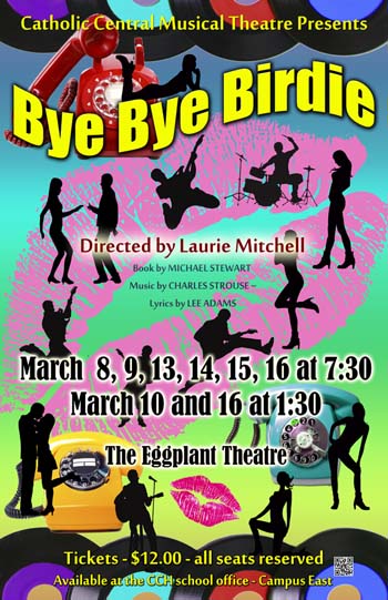 Bye Bye Birdie Poster