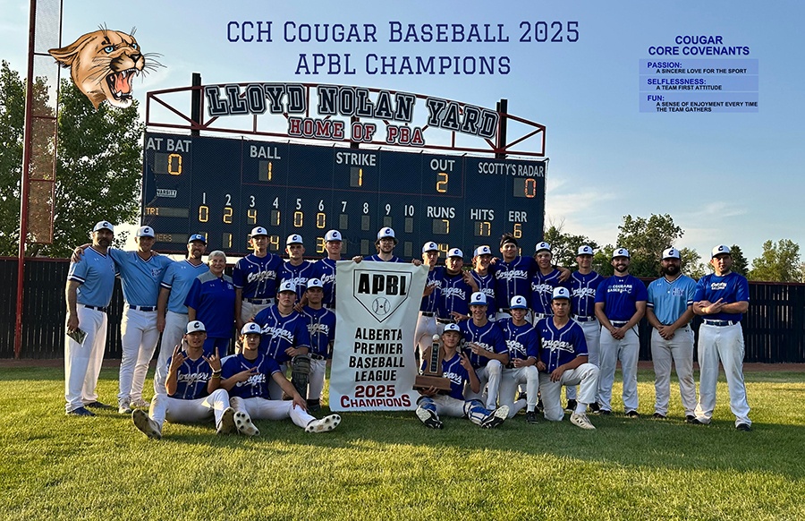 web baseball 24 copy